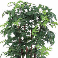 アスカ商会　アラリアポット　A-50770-051A　（直送品）