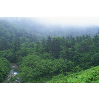 【保存水】 ケイ・エフ・ジー 純天然アルカリ保存水 7年保存 2L 332919 1箱（6本入）