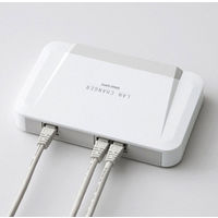 サンワサプライ LAN切替器(2回路) SW-LAN21（直送品）