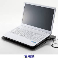 サンワサプライ ノート用クーラーパッド（TURBO機能付き） 15.4型ワイド・15.6型ワイド・16型ワイド・17型ワイド対応 TK-CLN19U（直送品）