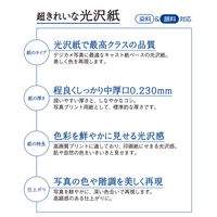 プラス　超きれいな光沢紙　A4　IT-221GC　1袋（100枚入）