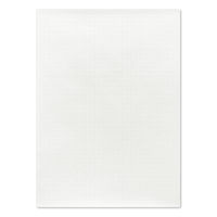 日本ノート　方眼模造紙　プルタイプ　白　XP10W　1箱（10枚入）