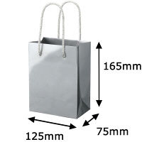 手提げ紙袋小物用　丸紐　シルバー　M　1セット（50枚：5枚入×10袋）　ハピラ