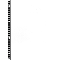 テージー　クリアーポケットリフィール（50枚）