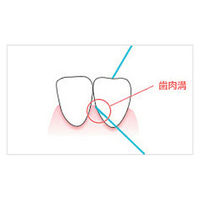 リーチ・デンタルフロス　ワックス　50m　550249　銀座ステファニー