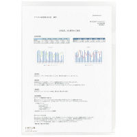 リヒトラブ　カラークリヤーホルダー　乳白　A4タテ　F78-1　1セット(5枚：1枚×5)