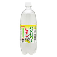 【アウトレット】日本サンガリア サンガリア サンサワー レモン 1000ml 1箱（12本入）
