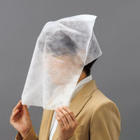 アスクル 不織布フェイシャルカバー/フェイスカバー  オリジナル