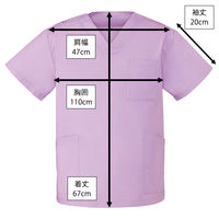 ディーフェイズ スクラブ DS2001 1枚　スクラブ（直送品）