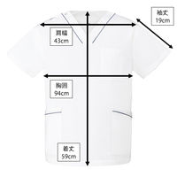 ディーフェイズ スクラブ DS2001 1枚　スクラブ（直送品）