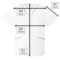 ディーフェイズ スクラブ DS2001 1枚　スクラブ（直送品）