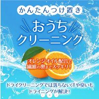 ドライニング 液体タイプ 詰め替え 450mL 1個 衣料用洗剤 UYEKI