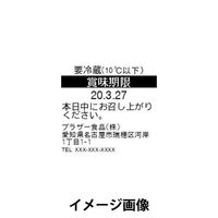 ブラザー プレカット紙ラベル 40mm×40mm RD-U08J1