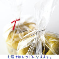 共和 ビニタイ カット品 赤 PVC 4mm×10cm 1袋 (1000本入)