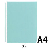 プラス　1ポケットリフィル（ノングレアエンボス）　RE-161TA　87600　1袋（100枚入）