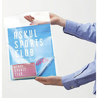 CPPアームバッグA4　透明　A4　1セット（250枚）　カクケイ