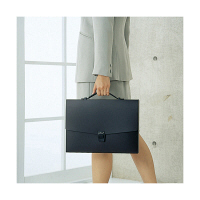 セキセイ　アルタートケース　B4　黒　ART-602-60　（直送品）