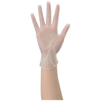 使い切りプラスチックグローブ 粉あり L 1箱(100枚入) ファーストレイト