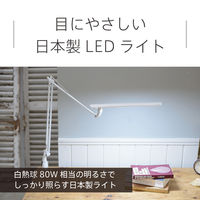 レディックエグザーム　オフィス（ホワイト）　LEX-970WH　スワン電器