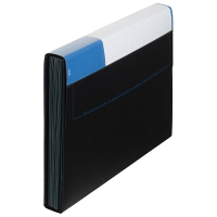 プラス　PPドキュメントファイル　A4　13ポケット　1箱（10冊入）　FL-122DE　92126