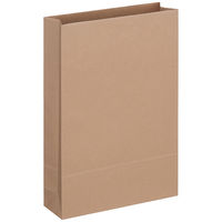 「現場のチカラ」 アスクル フラップなし宅配袋（紙製） 茶 大サイズ 封かんシールなし 1パック（100枚入）  オリジナル