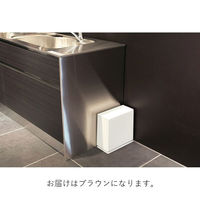 ideaco TUBELOR kitchenflap（チューブラーキッチンフラップ）8.5L ブラウン 1個 フタ付き プッシュ式 スリム
