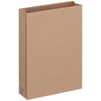 「現場のチカラ」 アスクル フラップなし宅配袋（紙製） 茶 小サイズ 封かんシールなし 1セット（600枚：100枚入×6）  オリジナル