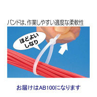 INSULOK(R) (インシュロック) ケーブルタイ 使い切り 屋内用 100mm 乳白 AB100 1パック (1000本入)