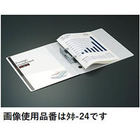 コクヨ ドキュメントポケット(ハーフタイプ) タホ-25 1袋(2片入)