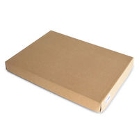 長門屋商店　尺三賞状盆　A4用（金縁）　BN-130