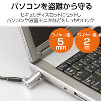 セキュリティワイヤー セキュリティスロット対応 シリンダー錠 2m 直径5mm ESL-30シリーズ 盗難防止 ESL-30 エレコム 1本（直送品）