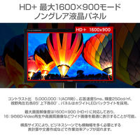iiyama 19.5インチワイド液晶モニターProLite E2083HSD-B2 WXGA++(1600×900)/D-sub/DVI-D 1台
