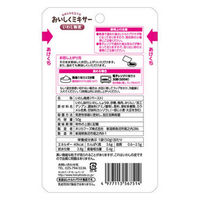 【介護食】 ホリカフーズ おいしくミキサー いわしの梅煮 1袋