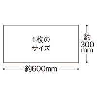 からだふき　ウェットタオルイワツキ　ウェットタオルワイド　1パック（30枚入）【からだふき／ウェット】濡れタオル