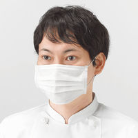 川西工業　フレッシュマスク　2PLYマスク（2層））　ホワイト　#7035　1箱（100枚入）