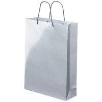 手提げ紙袋　ミラーフィルムタイプ　丸紐　シルバー　M　1セット（30枚：5枚入×6袋）　アスクル  オリジナル