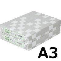 アスクル　カラーペーパー　A3　ライトグリーン　1セット（500枚×2冊）  オリジナル