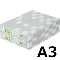 アスクル　カラーペーパー　A3　グリーン　1セット（500枚×2冊入）  オリジナル