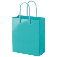 手提げ紙袋小物用　丸紐　アクアブルー　M　1セット（50枚：5枚入×10袋）　ハピラ