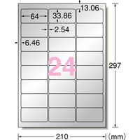 エーワン（A-one）屋外でも使えるラベルシール 備品ラベル つや消しフィルム レーザー 耐水 A4 シルバー 24面  5シート  31058