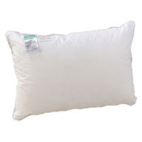 篠原化学 フォスフレイクス枕 43×63cm FOSS-4363 1個