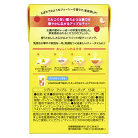 リプトン アップル ティーバッグ 1箱（15バッグ入）