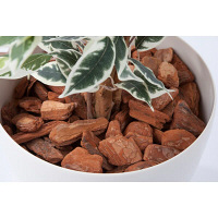 アイコム　人工樹木　フィカスハワイアン　1.8m　1鉢　（取寄品）