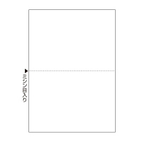 ヒサゴ A4ノーカーボン白紙2面 BPC2002 1パック(100枚入)（取寄品）