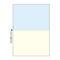 ヒサゴ A4ノーカーボンカラー2面 BPC2010 1パック(100枚入)（取寄品）