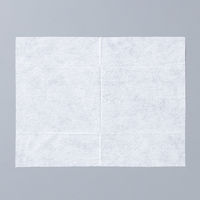 【口腔ケアウェットシート】 口腔ケアウェットシート 50枚入 1個 昭和紙工