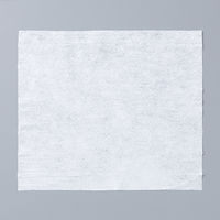 からだふき　ウェットタオル【ウェット】濡れタオル 介護用ウェットタオル バケツタイプ 本体 1個（300枚入） 昭和紙工