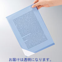 コクヨ クリヤーホルダー脱落ストッパー付10透明 K2フーST750TX10 1袋(10枚入)