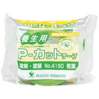 寺岡製作所 養生テープ VOC対策 P-カットテープ No.4190 若葉 幅50ｍm×長さ25m 1巻