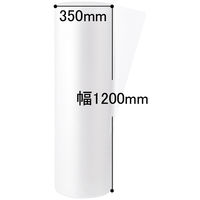 プチプチ（R） エアークッション d36 幅1200mm×42m巻 コアレス 紙管なし 1セット（3巻：1巻×3） 川上産業